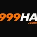 999HA Game