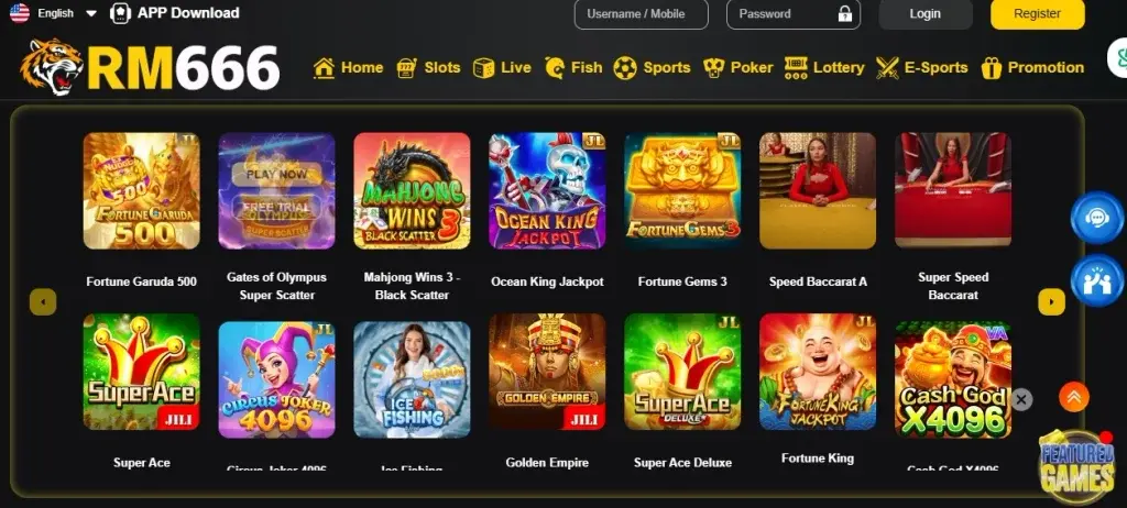 RM666 Game Interface